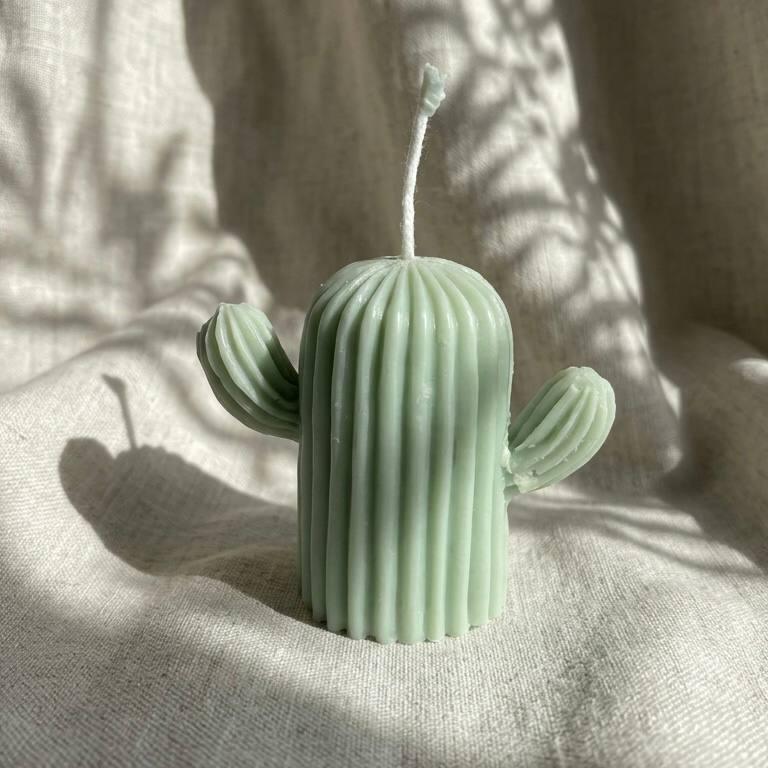 Candele Cactus in Cera di Soia – foto 6