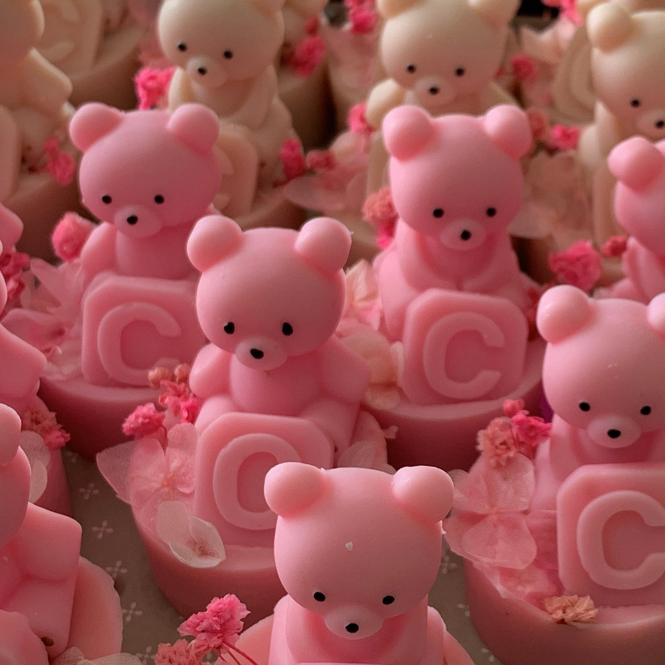TenerOrsi – foto 7