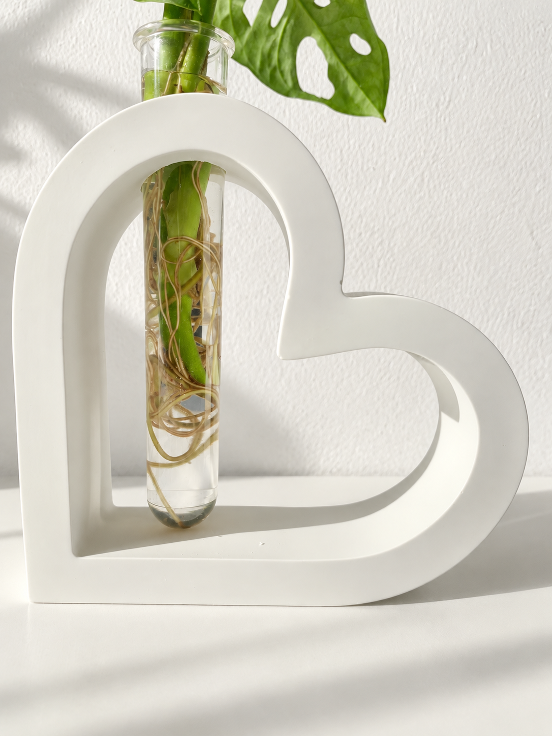 CuoreVerde – Porta Pianta