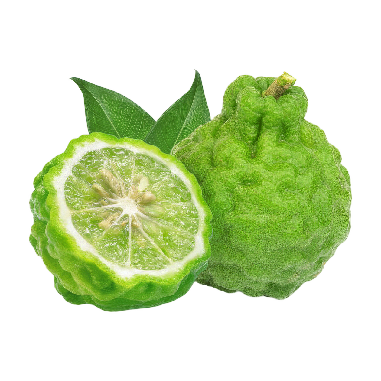 Bergamotto
